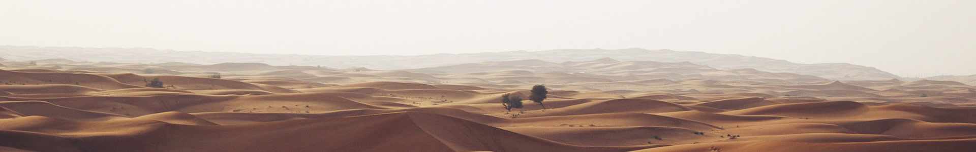 ݱó޹˾